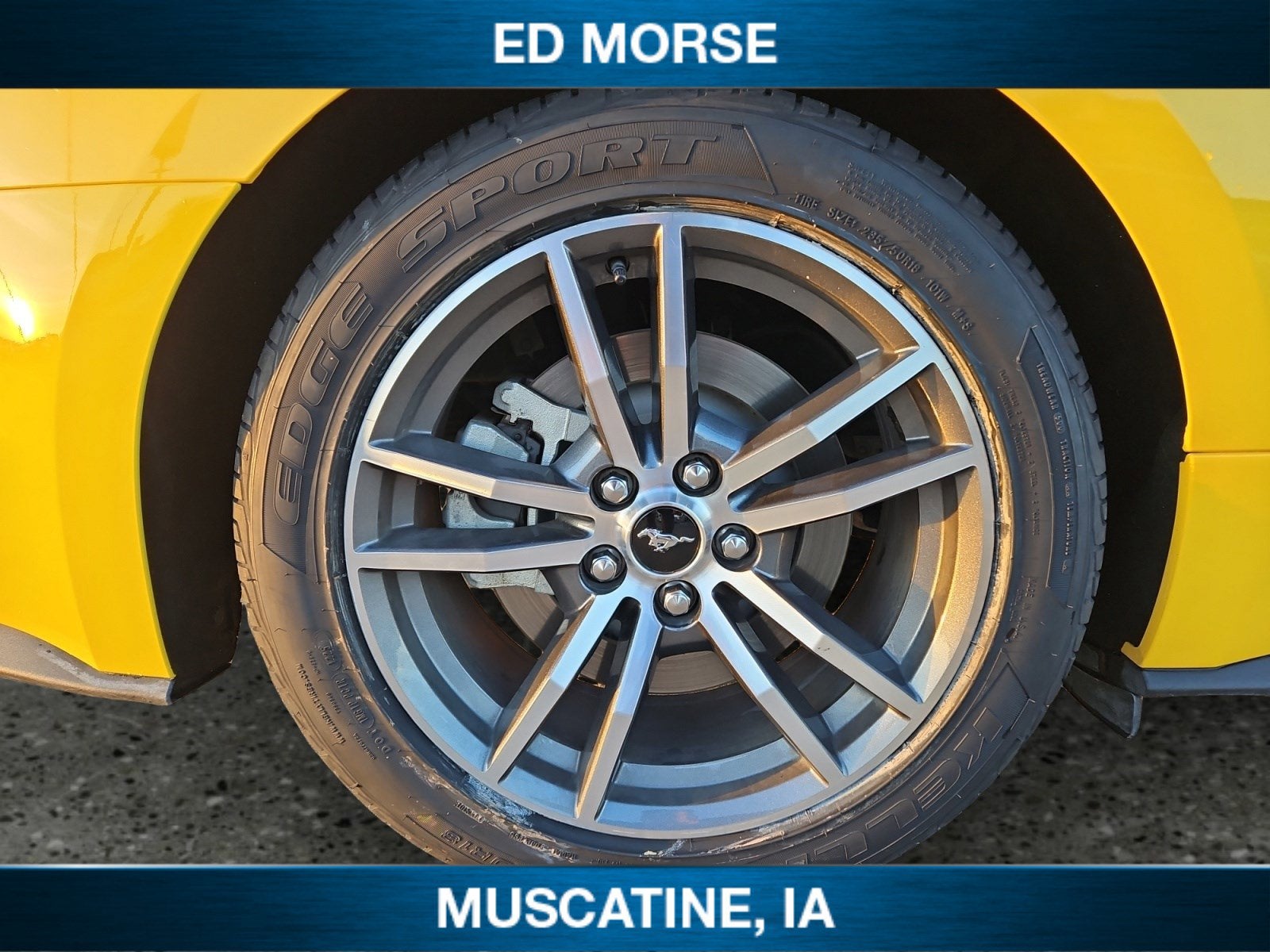 2015 Ford Mustang GT Premium